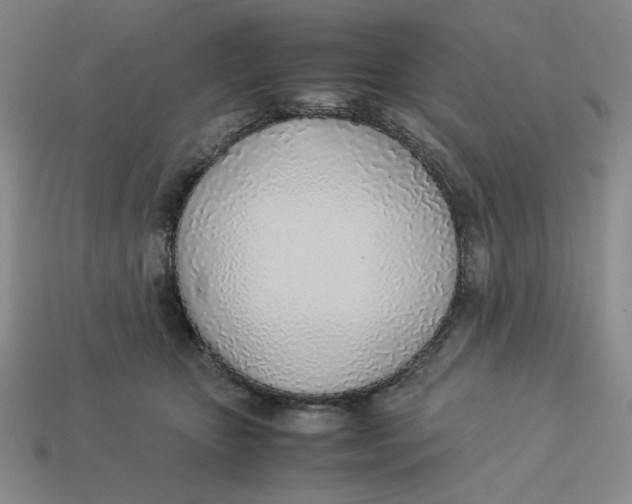 X0000113350467200910131243