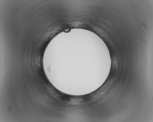 X0000113350470200910131243