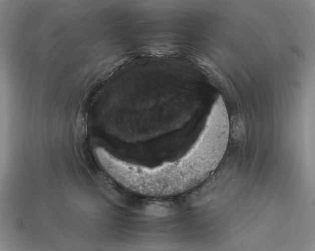 X0000113350471200910131243