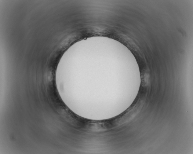 X0000113350472200910131243