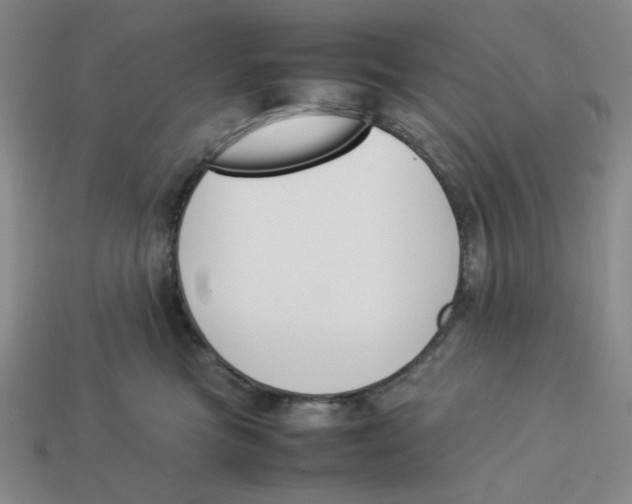 X0000113350473200910131243