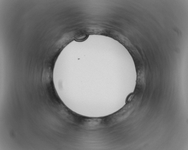 X0000113350474200910131243