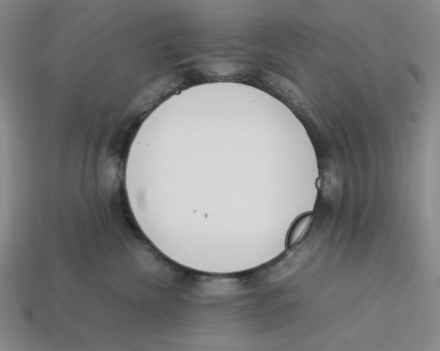 X0000113350476200910131243