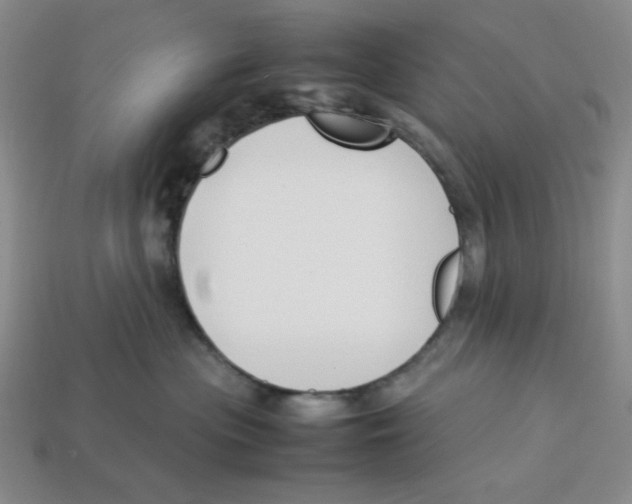 X0000113350477200910131243