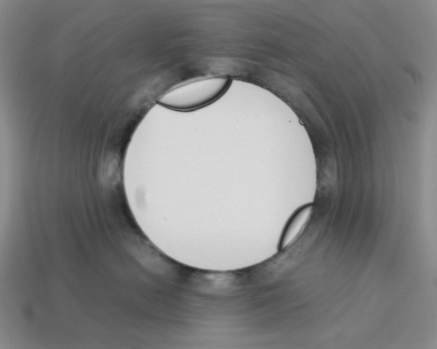 X0000113350478200910131243