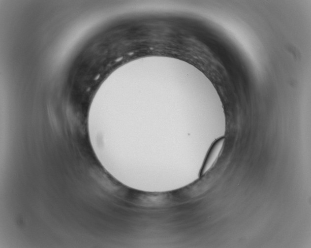 X0000113350479200910131243