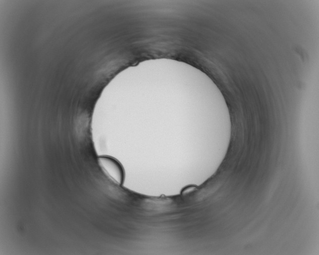 X0000113350480200910131243