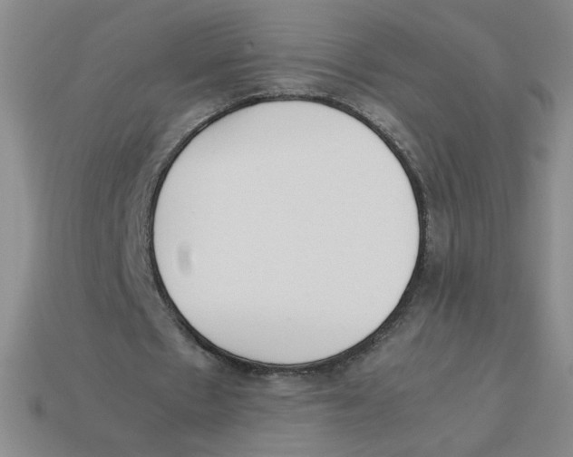 X0000113350481200910131243