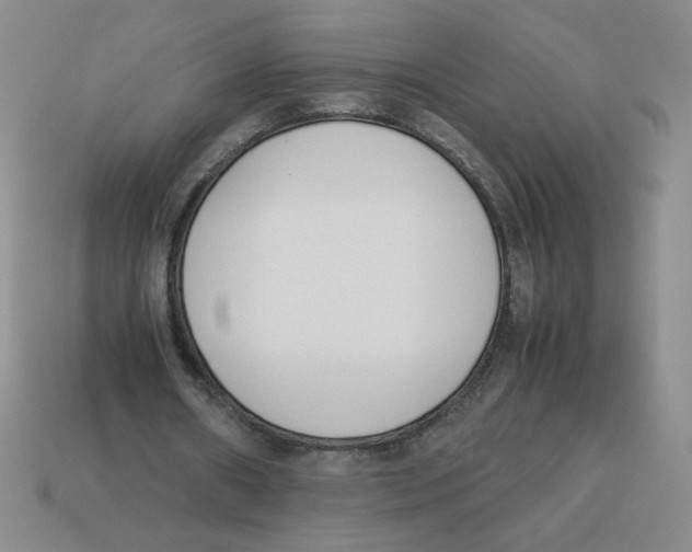 X0000113350482200910131242