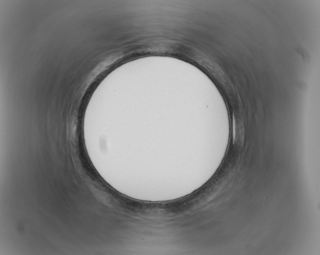 X0000113350483200910131242