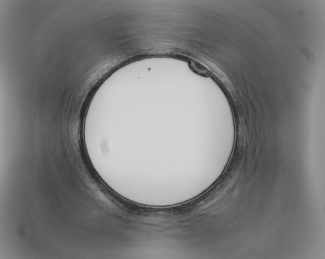 X0000113350485200910131242