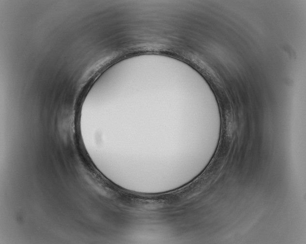 X0000113350486200910131242