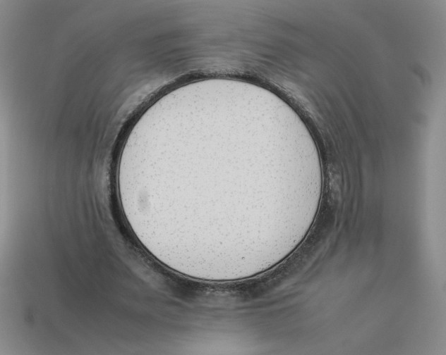 X0000113350487200910131242