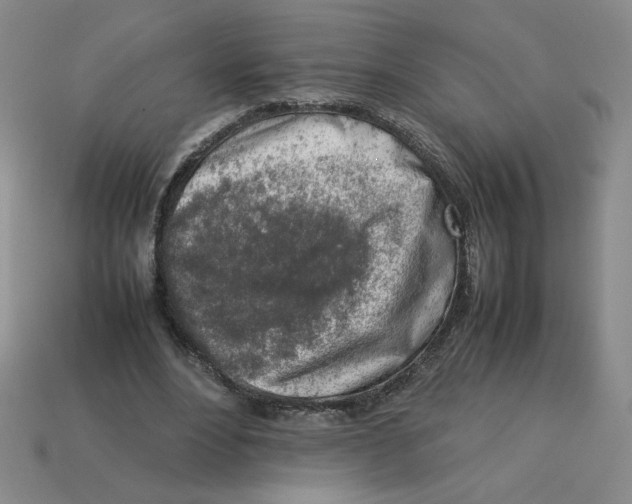 X0000113350488200910131242