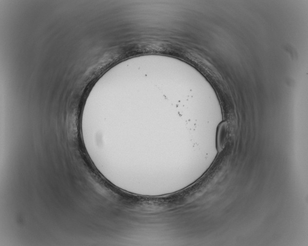 X0000113350489200910131242