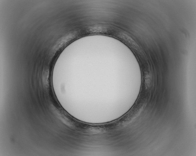 X0000113350490200910131242