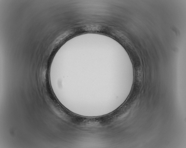 X0000113350491200910131242