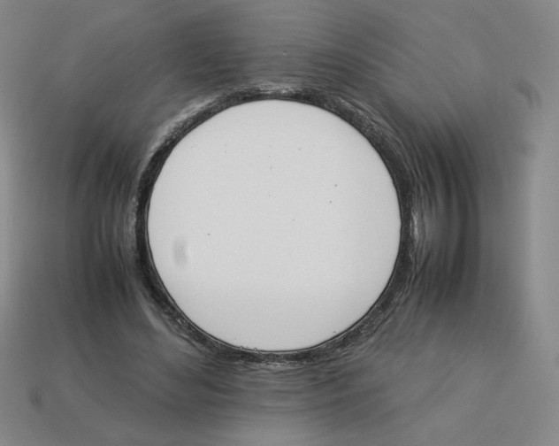 X0000113350492200910131242