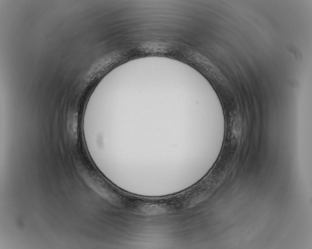 X0000113350494200910131242