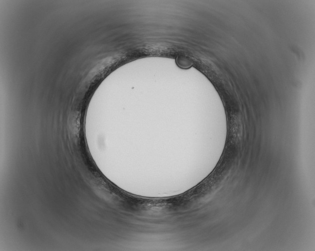 X0000113350495200910131242