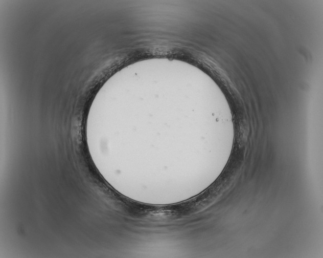 X0000113350497200910131242