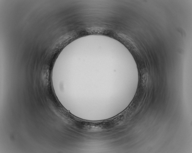 X0000113350498200910131242