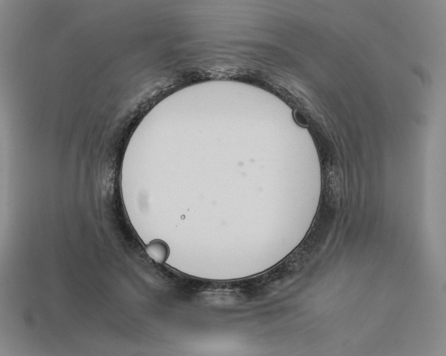 X0000113350499200910131242