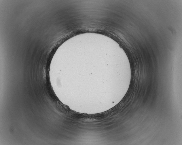 X0000113350500200910131242