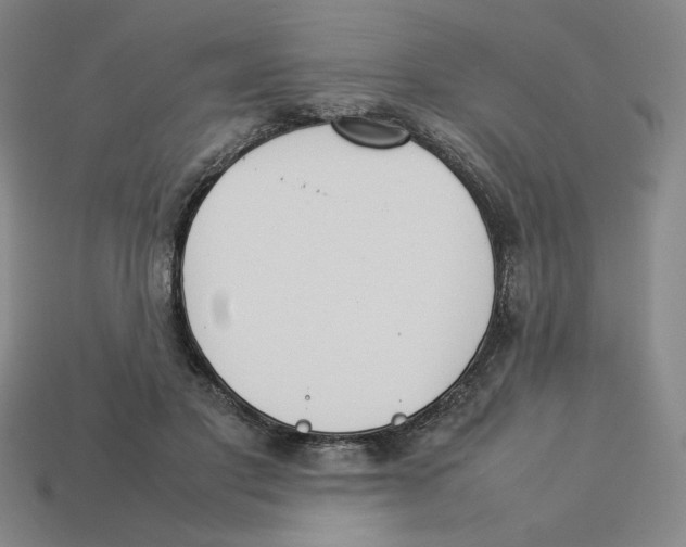 X0000113350501200910131242