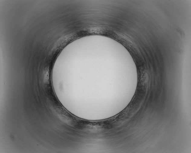 X0000113350502200910131242