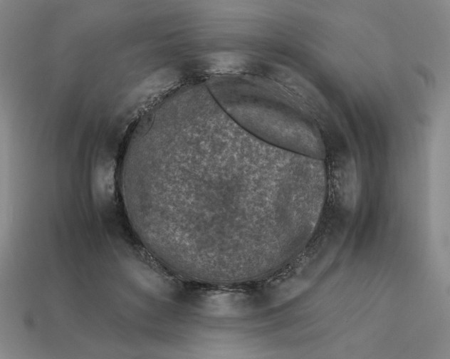 X0000113350504200910131242