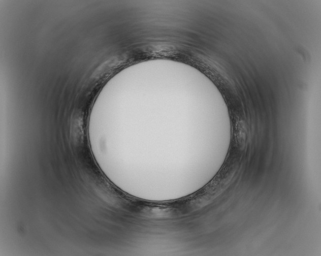 X0000113350506200910131242