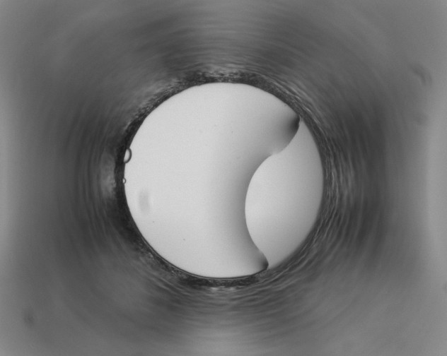 X0000113350508200910131242