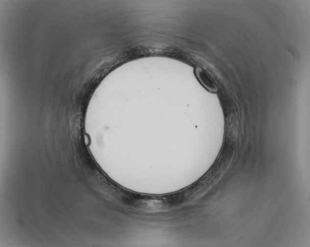 X0000113350509200910131242