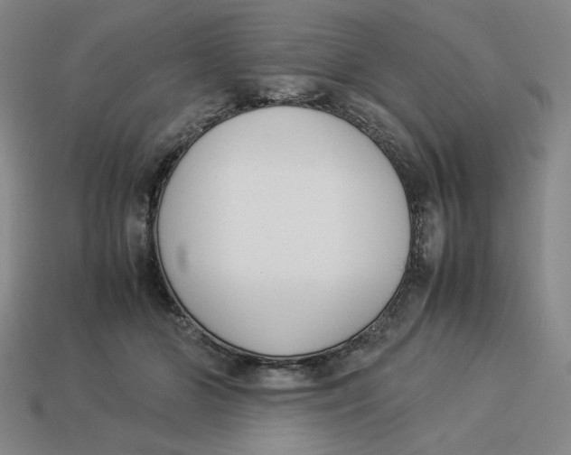 X0000113350510200910131242