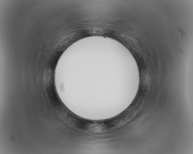 X0000113350511200910131242