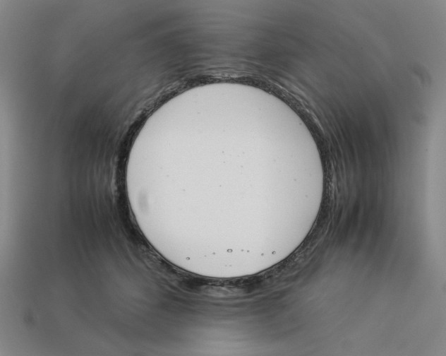 X0000113350512200910131242