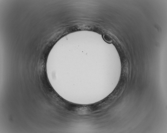 X0000113350513200910131242