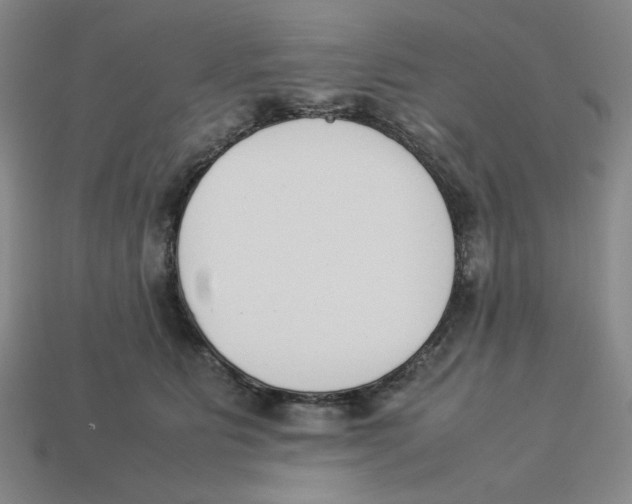 X0000113350515200910131242