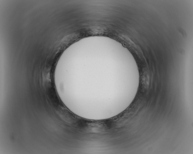 X0000113350516200910131242