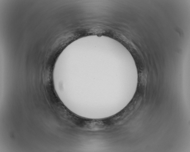 X0000113350517200910131242