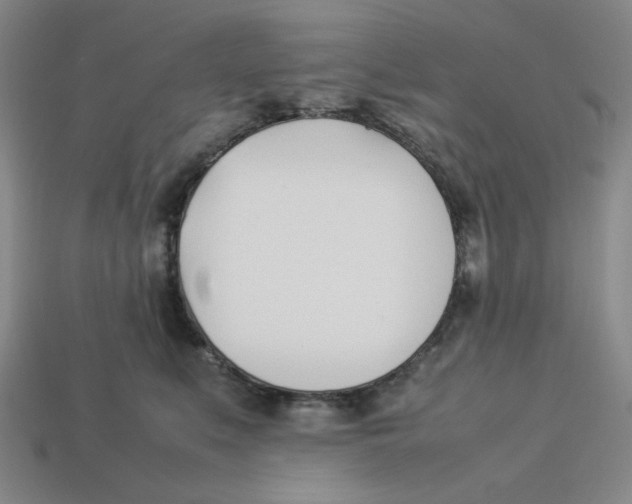 X0000113350519200910131242