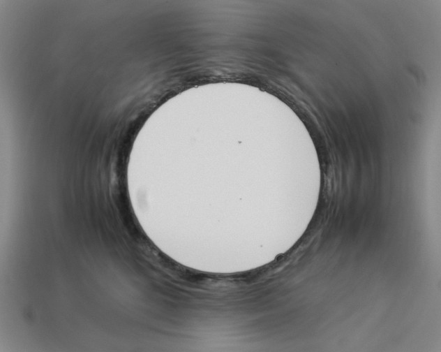 X0000113350520200910131242