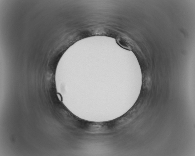 X0000113350521200910131242