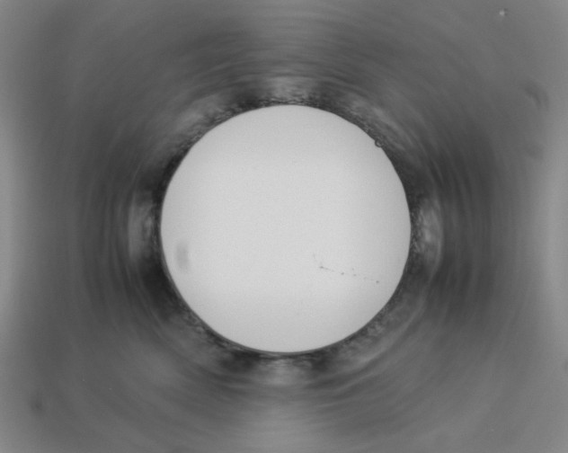 X0000113350522200910131242