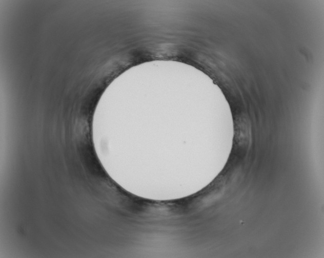 X0000113350523200910131242