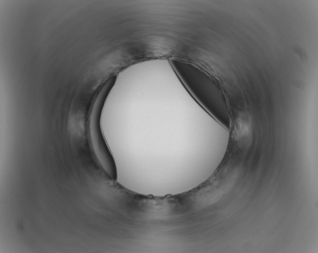 X0000113350524200910131242