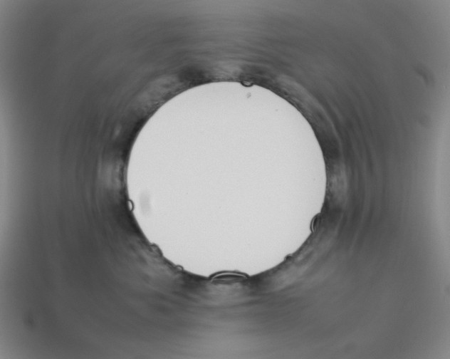 X0000113350525200910131242