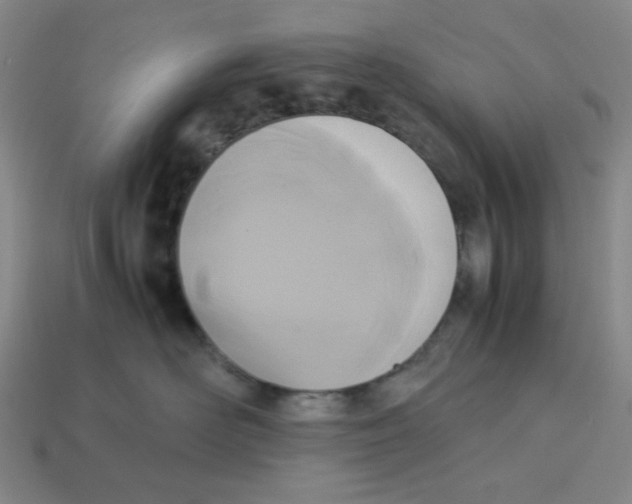 X0000113350526200910131242