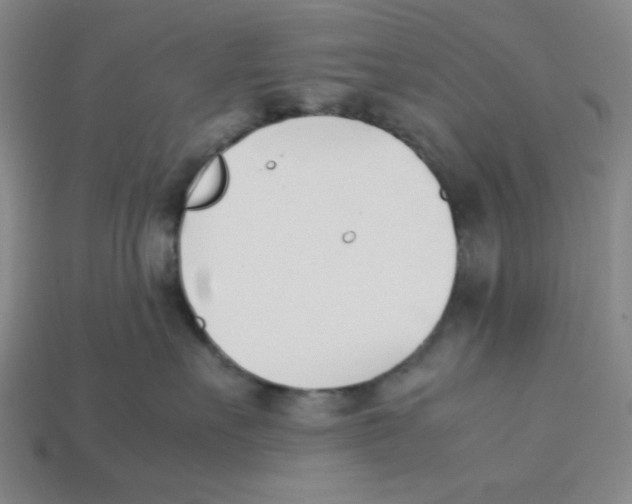 X0000113350527200910131242